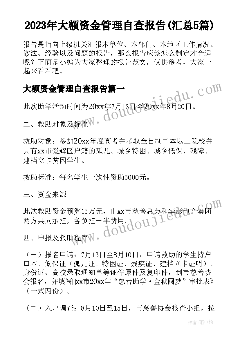 2023年大额资金管理自查报告(汇总5篇)