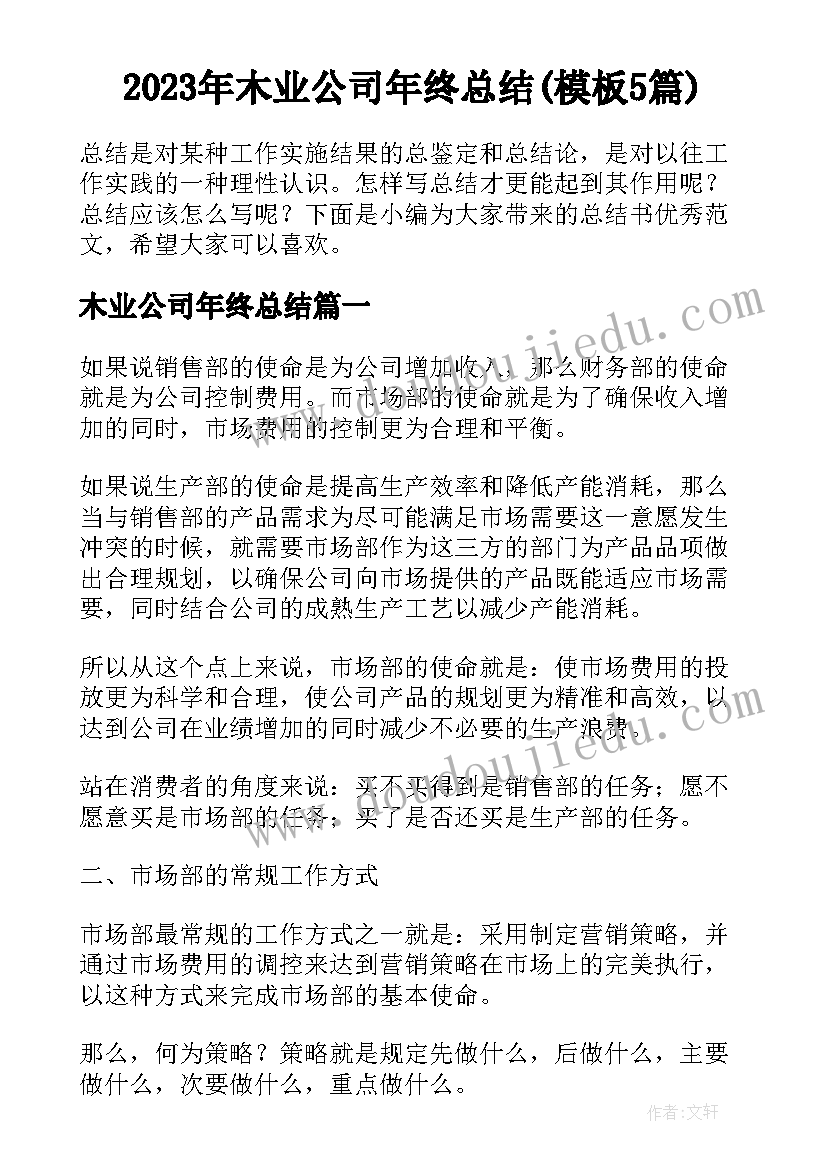 2023年木业公司年终总结(模板5篇)