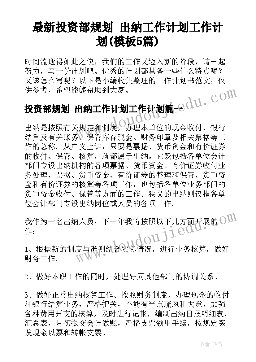 最新投资部规划 出纳工作计划工作计划(模板5篇)