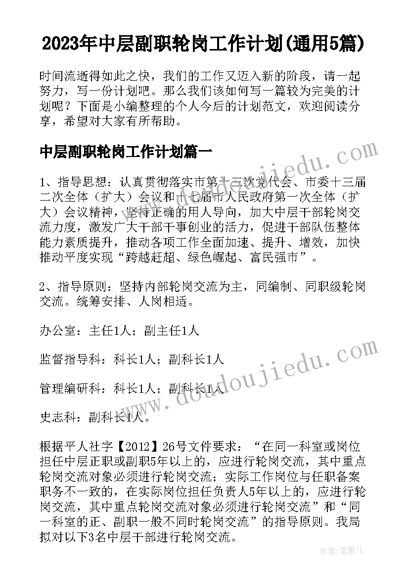 2023年中层副职轮岗工作计划(通用5篇)