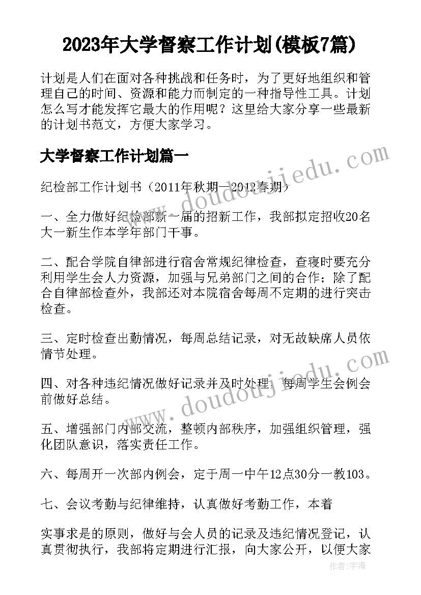 2023年大学督察工作计划(模板7篇)