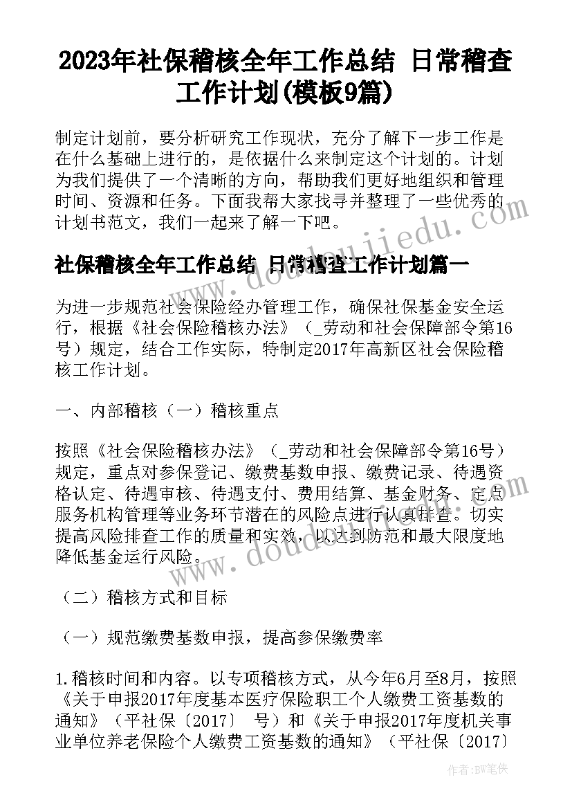 2023年社保稽核全年工作总结 日常稽查工作计划(模板9篇)