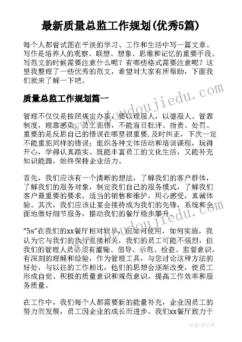 最新质量总监工作规划(优秀5篇)