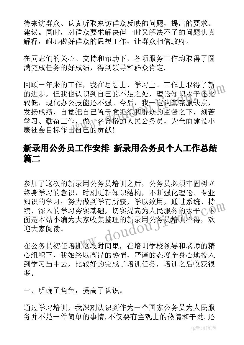 2023年新录用公务员工作安排 新录用公务员个人工作总结(汇总9篇)