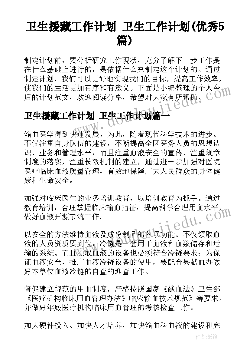 卫生援藏工作计划 卫生工作计划(优秀5篇)