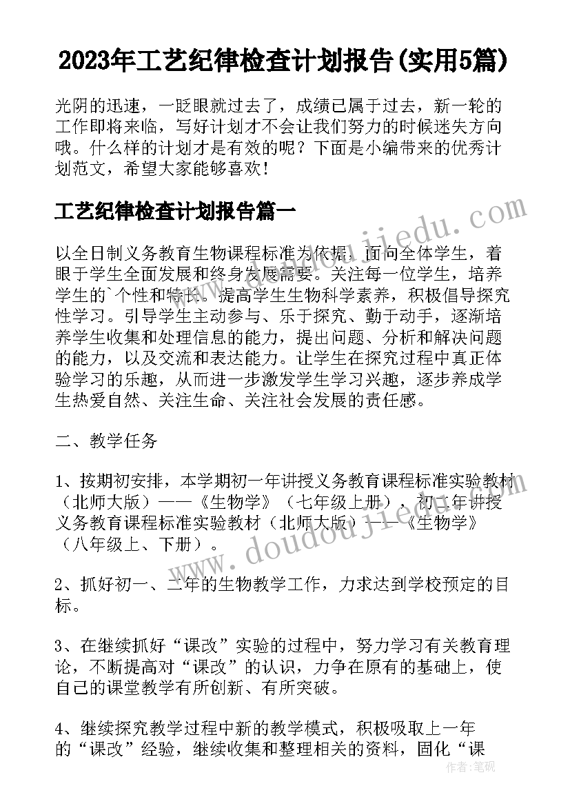 2023年工艺纪律检查计划报告(实用5篇)