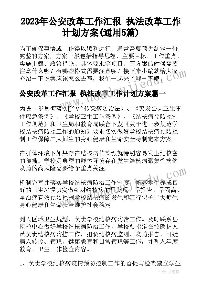 2023年公安改革工作汇报 执法改革工作计划方案(通用5篇)