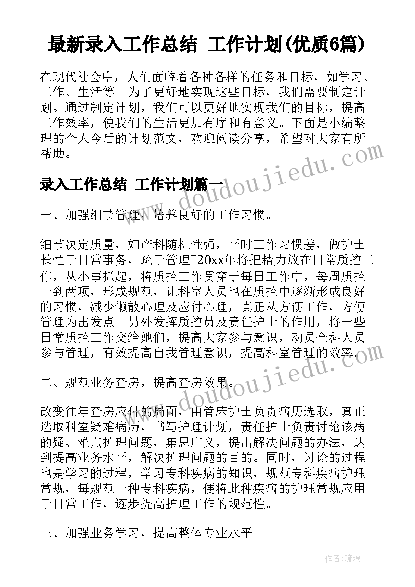 最新录入工作总结 工作计划(优质6篇)