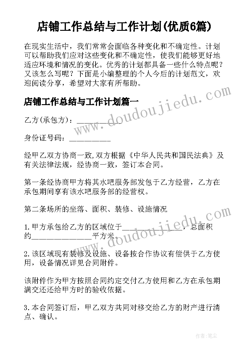 店铺工作总结与工作计划(优质6篇)