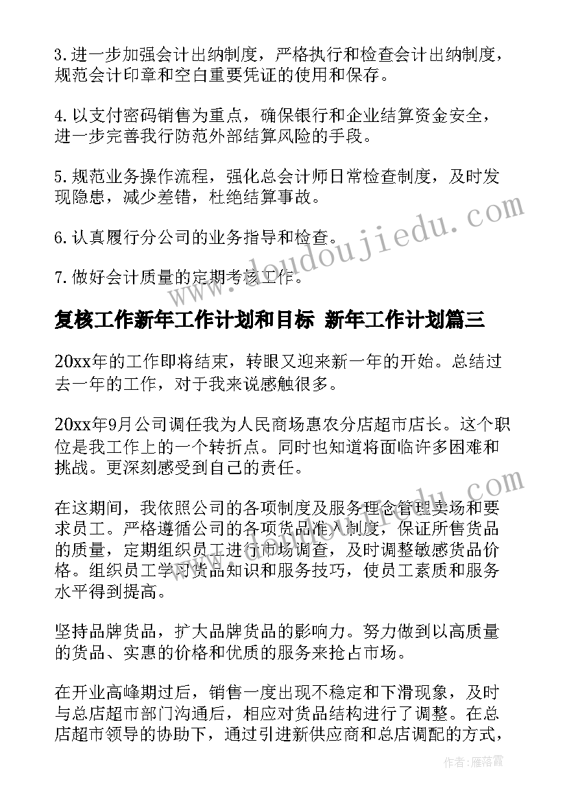 最新复核工作新年工作计划和目标 新年工作计划(大全5篇)