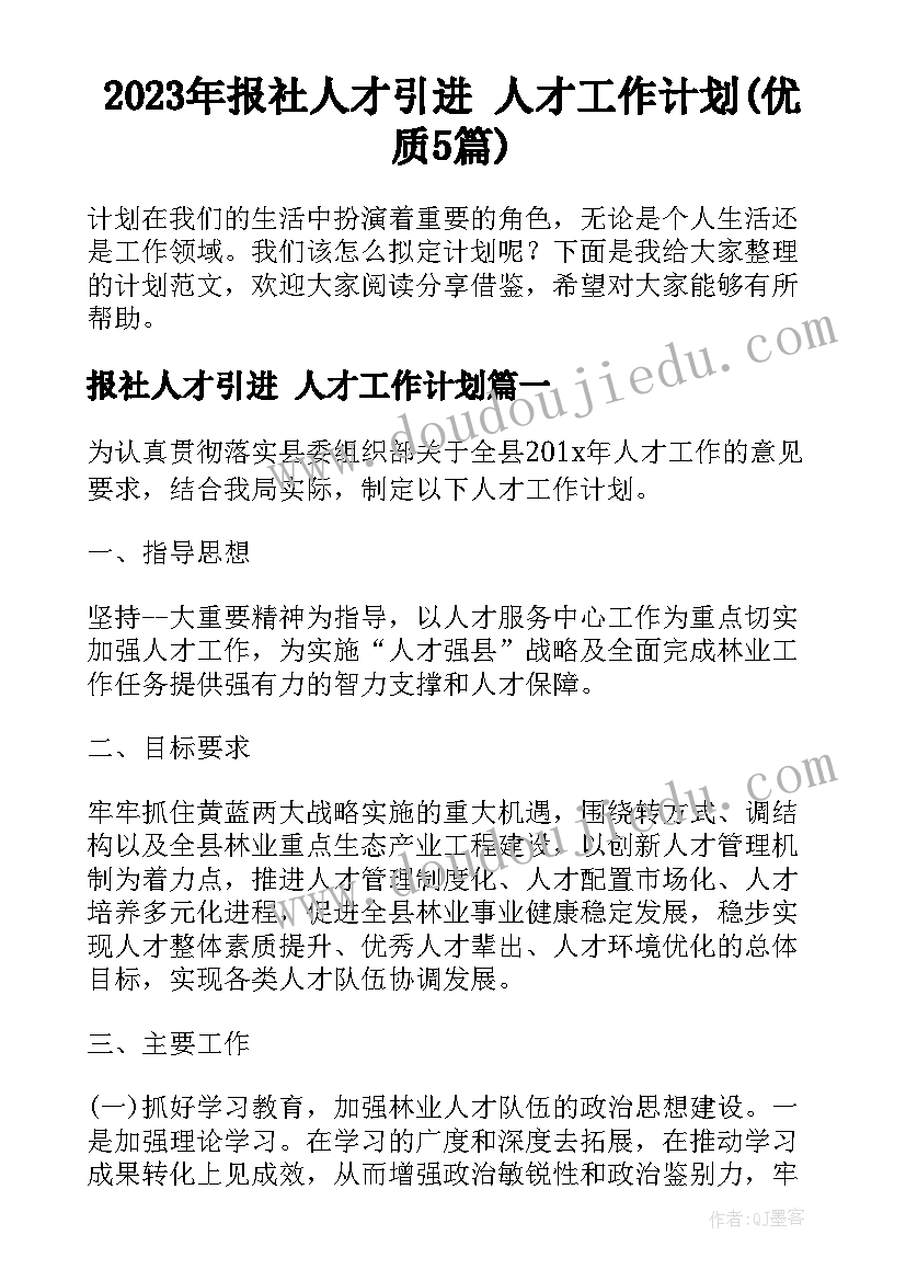 2023年报社人才引进 人才工作计划(优质5篇)