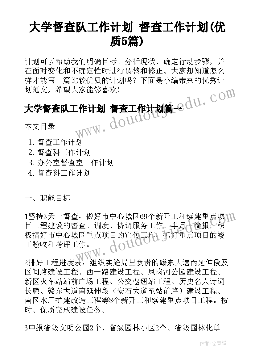 大学督查队工作计划 督查工作计划(优质5篇)