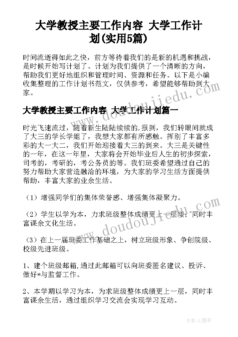 大学教授主要工作内容 大学工作计划(实用5篇)