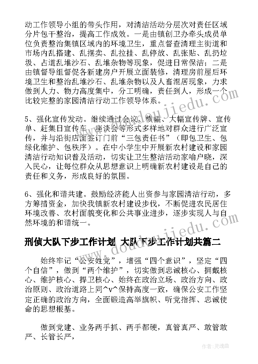 2023年刑侦大队下步工作计划 大队下步工作计划共(模板5篇)