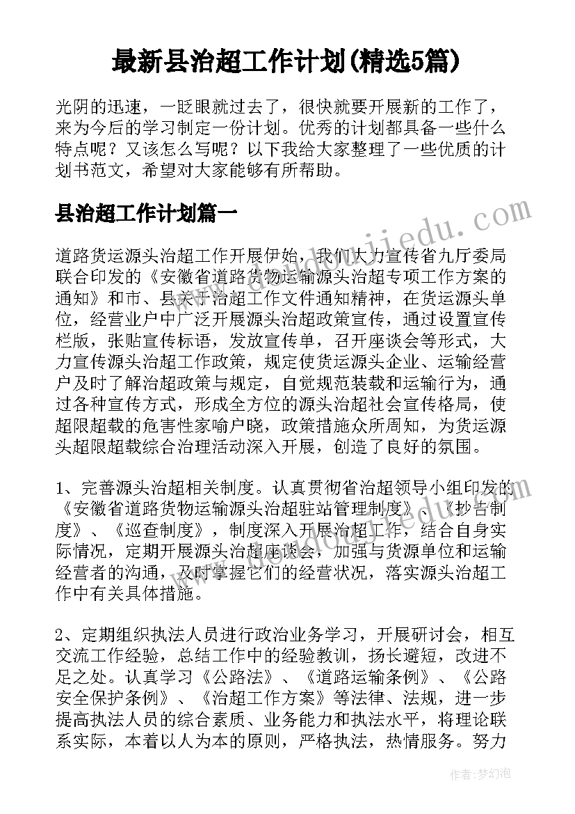 最新县治超工作计划(精选5篇)