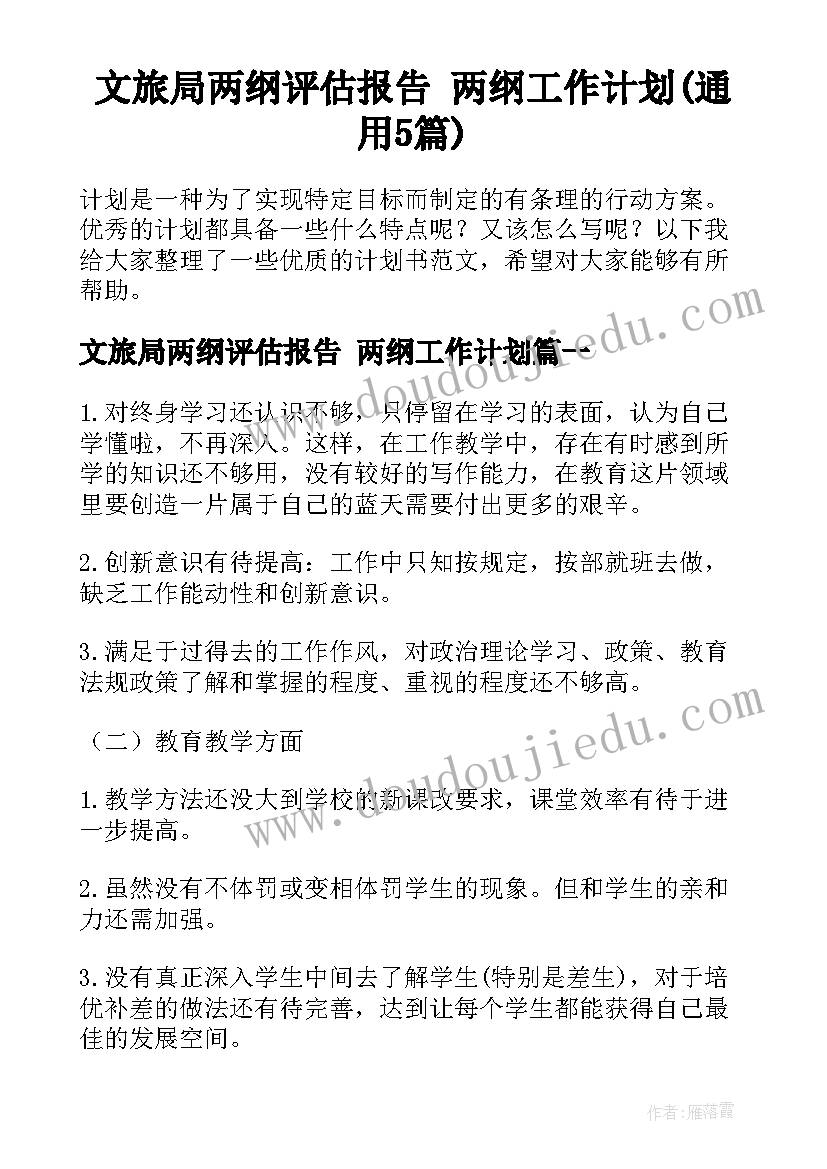 文旅局两纲评估报告 两纲工作计划(通用5篇)