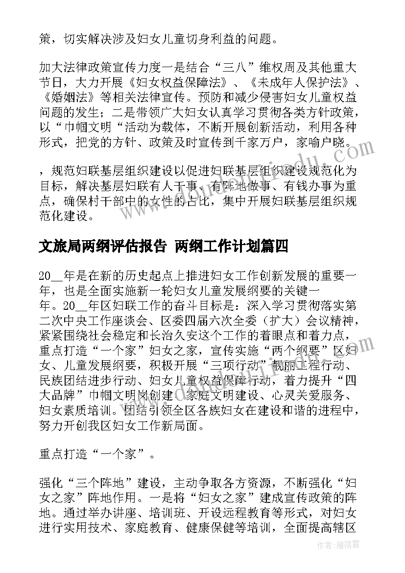 文旅局两纲评估报告 两纲工作计划(通用5篇)