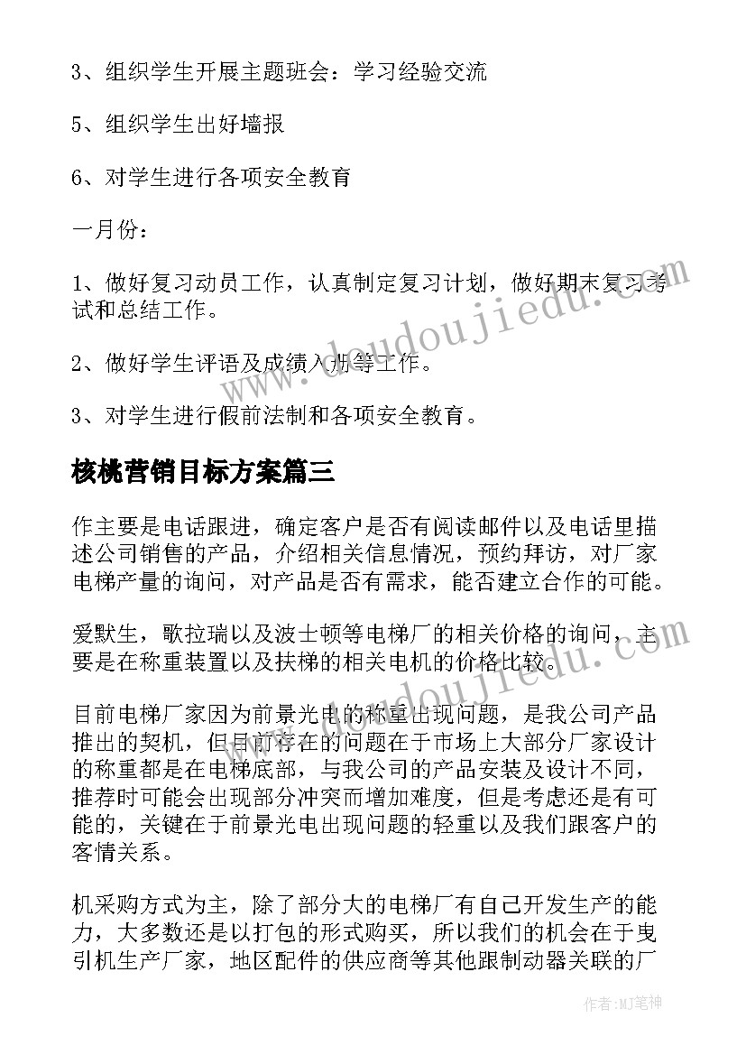 2023年核桃营销目标方案(大全5篇)