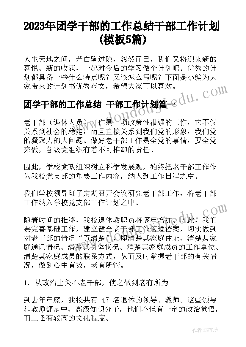 2023年团学干部的工作总结 干部工作计划(模板5篇)