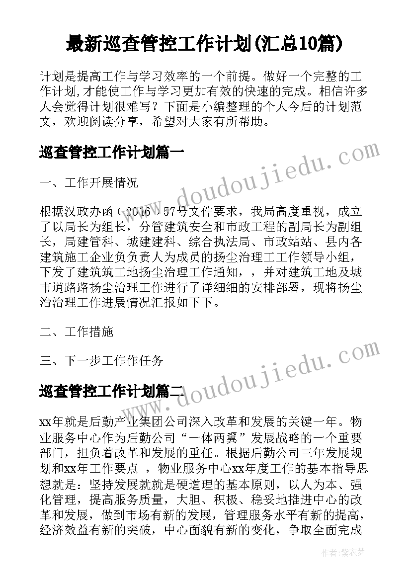 最新巡查管控工作计划(汇总10篇)