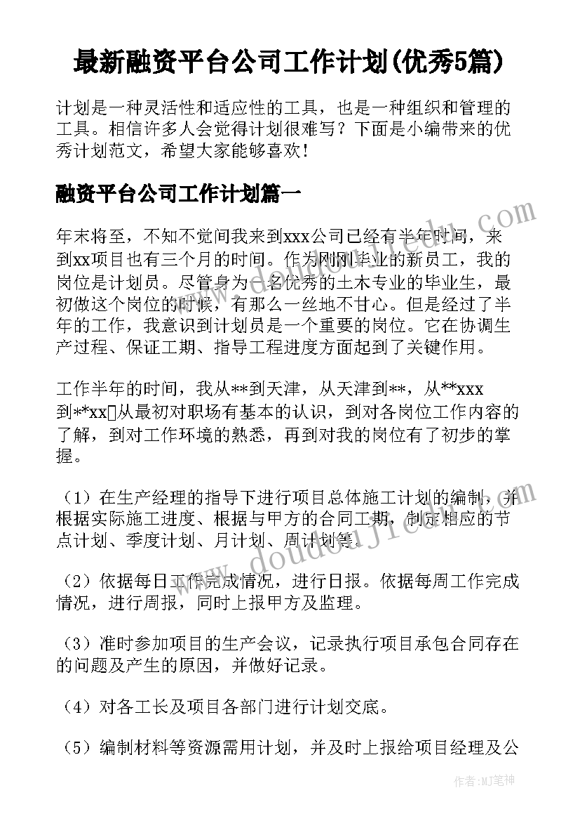 最新融资平台公司工作计划(优秀5篇)