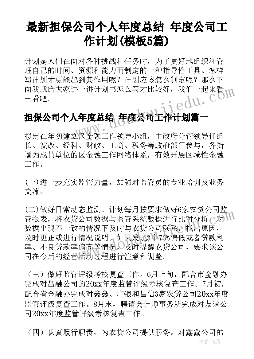 最新担保公司个人年度总结 年度公司工作计划(模板5篇)