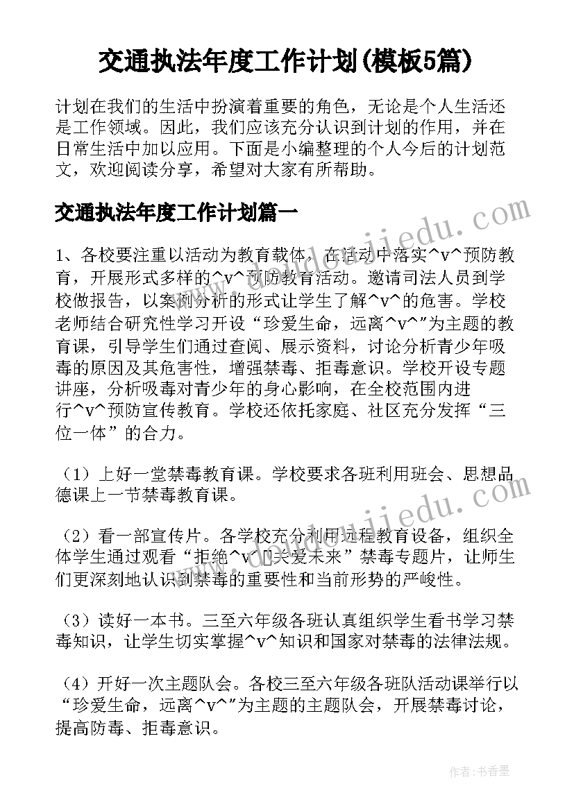 交通执法年度工作计划(模板5篇)