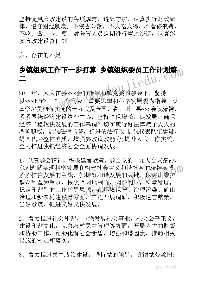 最新乡镇组织工作下一步打算 乡镇组织委员工作计划(优质5篇)