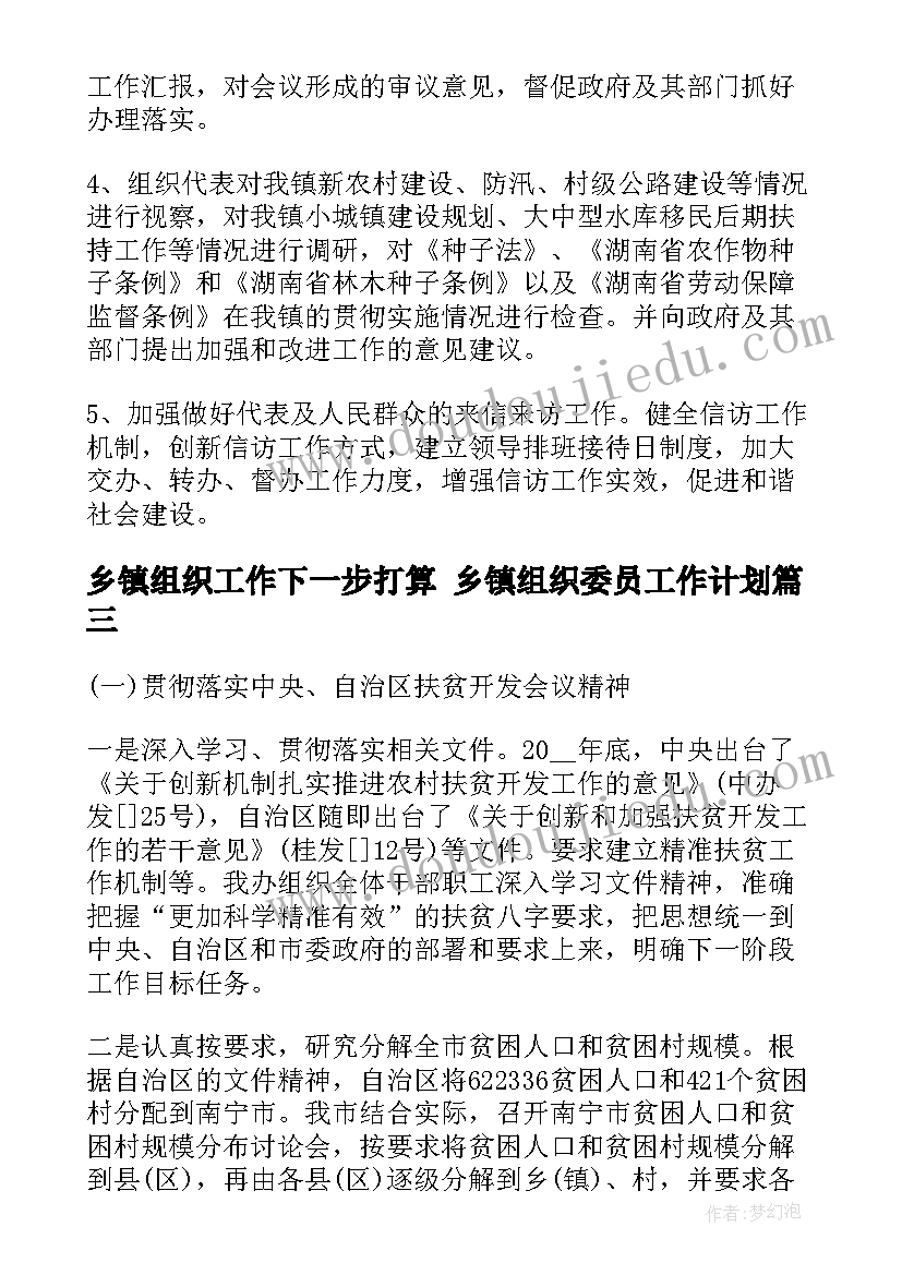 最新乡镇组织工作下一步打算 乡镇组织委员工作计划(优质5篇)