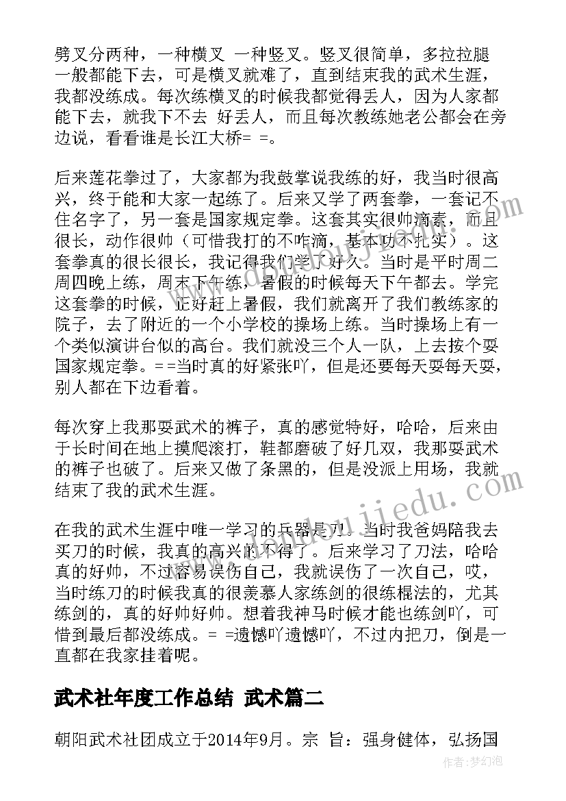 2023年武术社年度工作总结 武术(模板9篇)