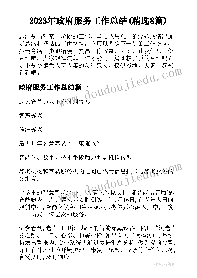 2023年政府服务工作总结(精选8篇)