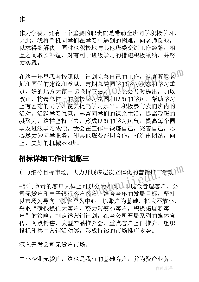 最新招标详细工作计划(优质8篇)