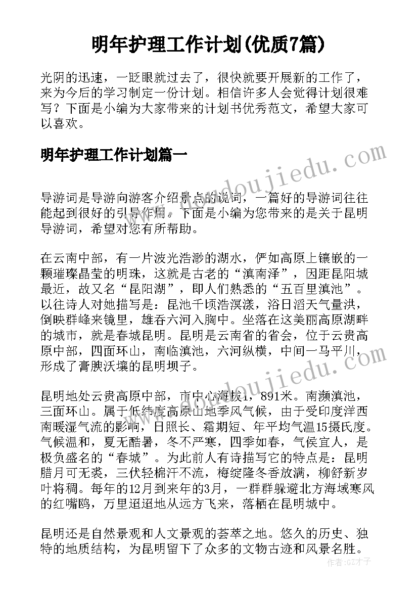 明年护理工作计划(优质7篇)