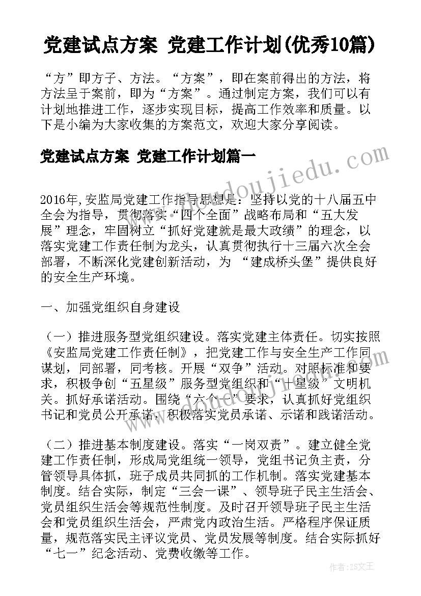 党建试点方案 党建工作计划(优秀10篇)