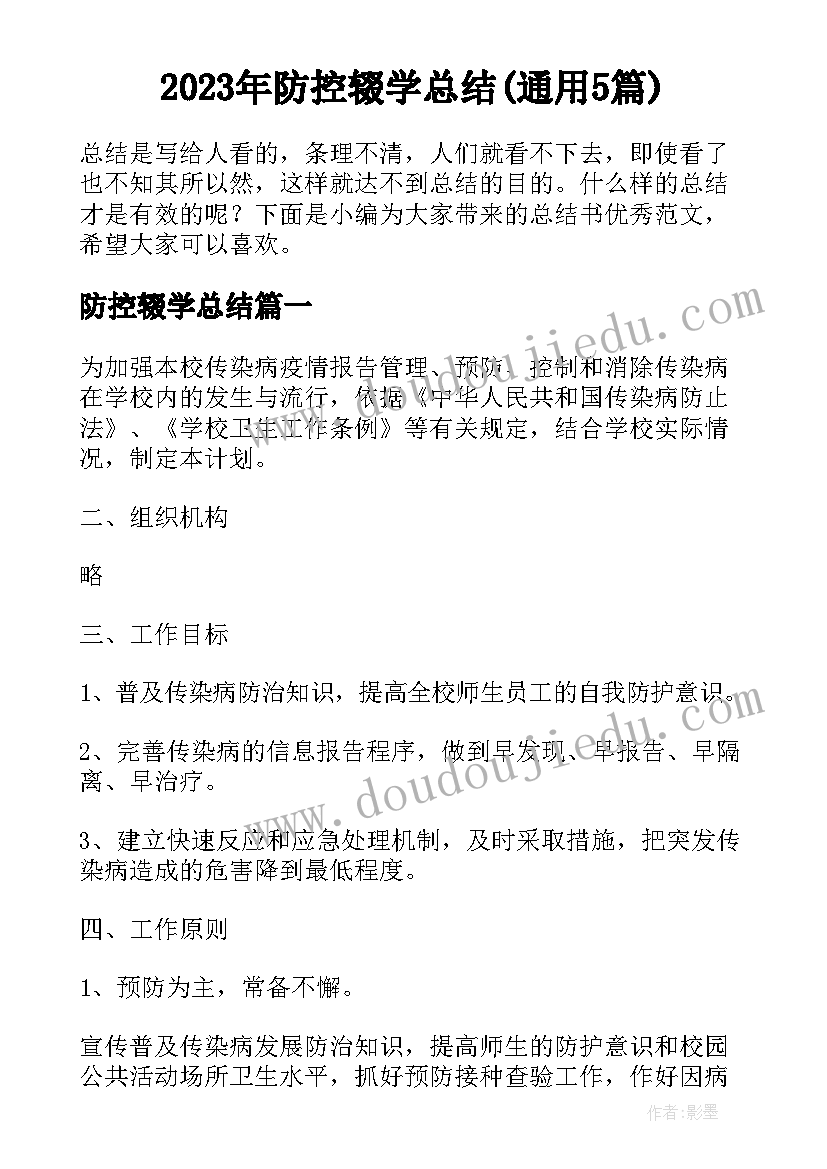 2023年防控辍学总结(通用5篇)