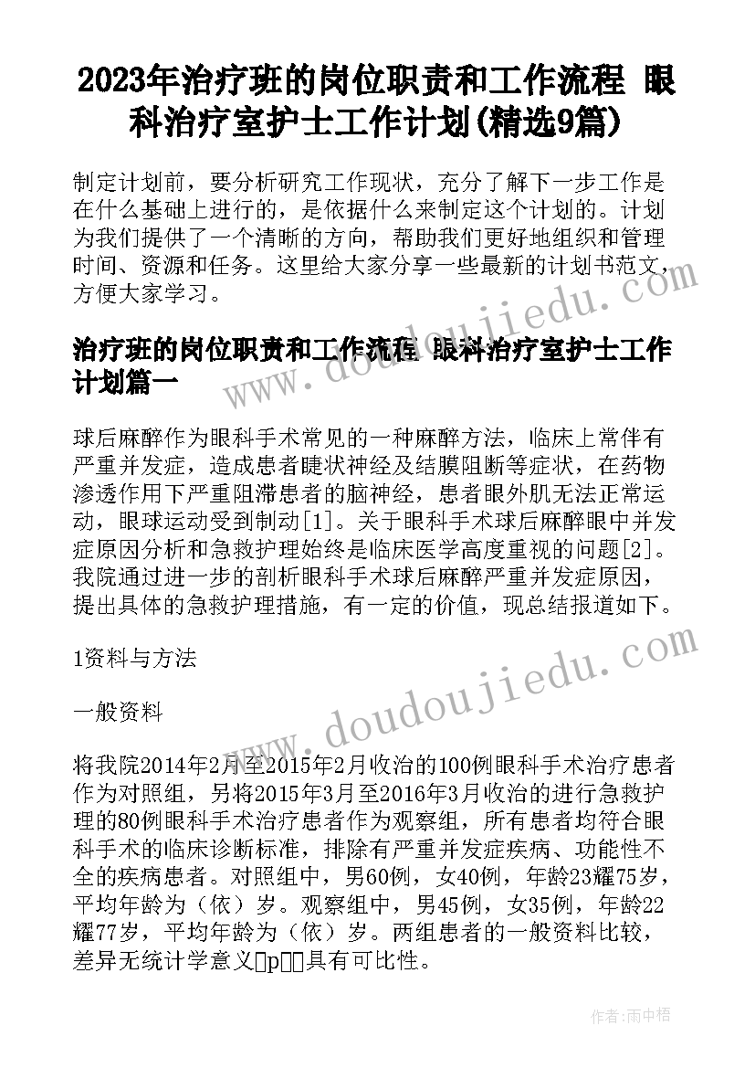 2023年治疗班的岗位职责和工作流程 眼科治疗室护士工作计划(精选9篇)