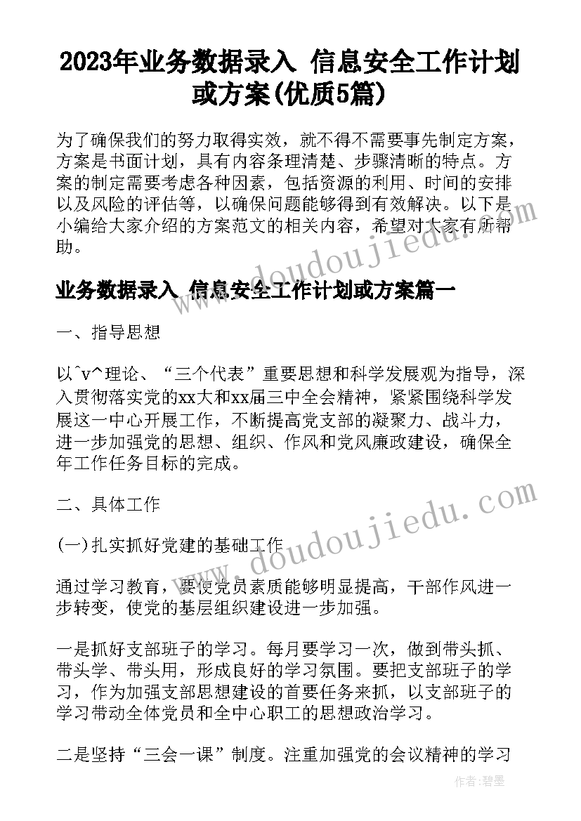 2023年业务数据录入 信息安全工作计划或方案(优质5篇)