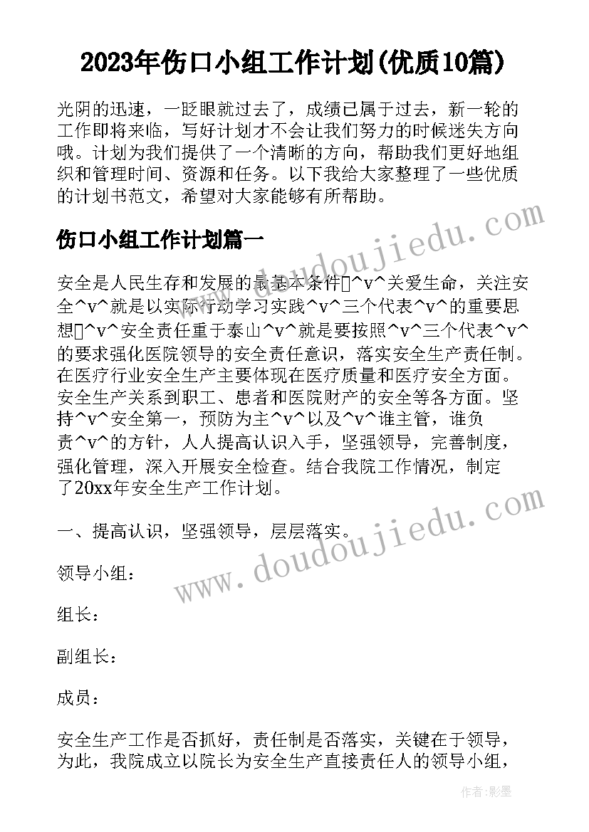 2023年伤口小组工作计划(优质10篇)