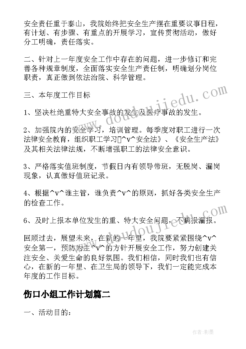 2023年伤口小组工作计划(优质10篇)