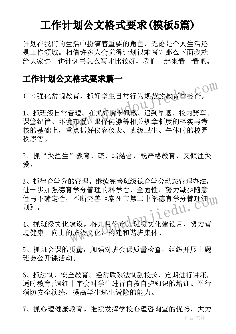 工作计划公文格式要求(模板5篇)