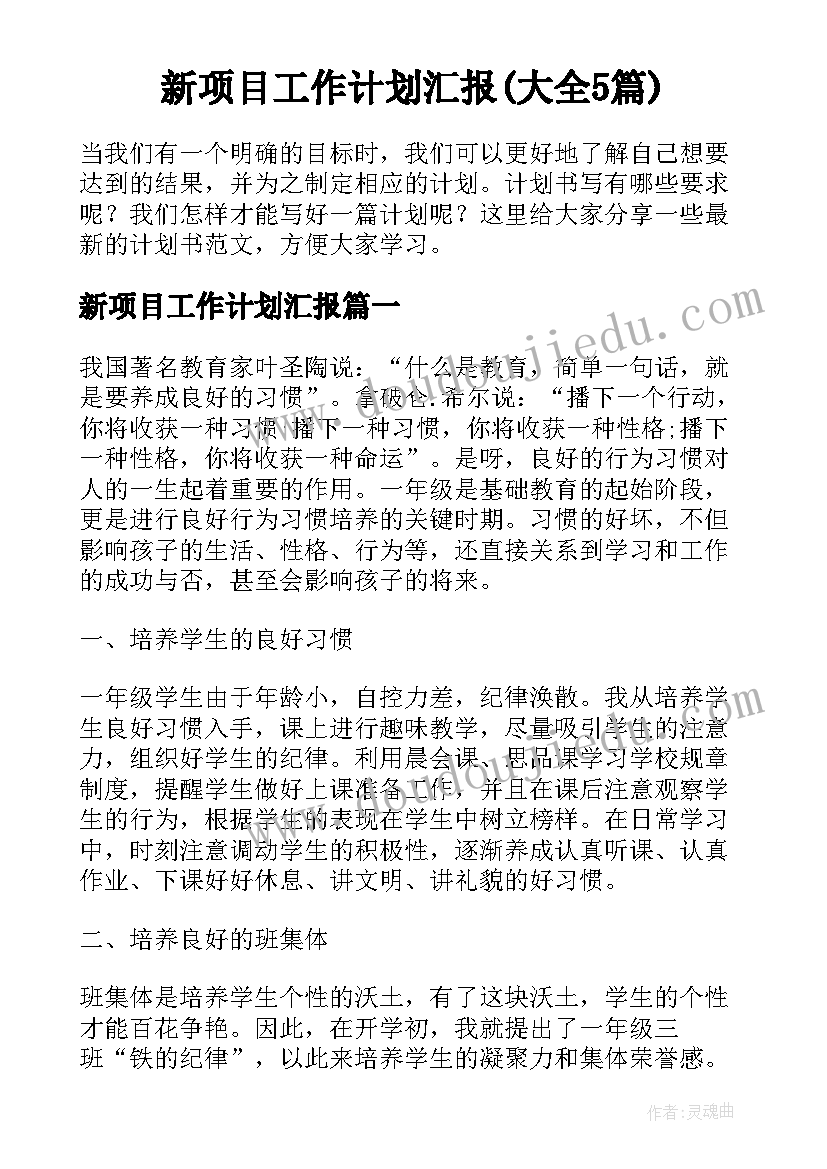 新项目工作计划汇报(大全5篇)