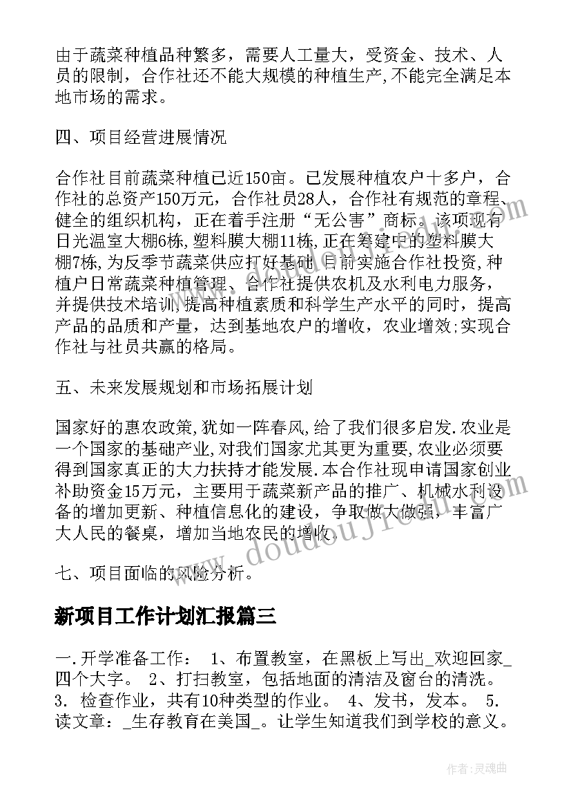 新项目工作计划汇报(大全5篇)