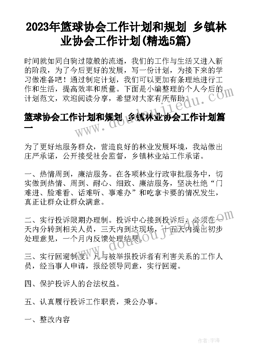 2023年篮球协会工作计划和规划 乡镇林业协会工作计划(精选5篇)