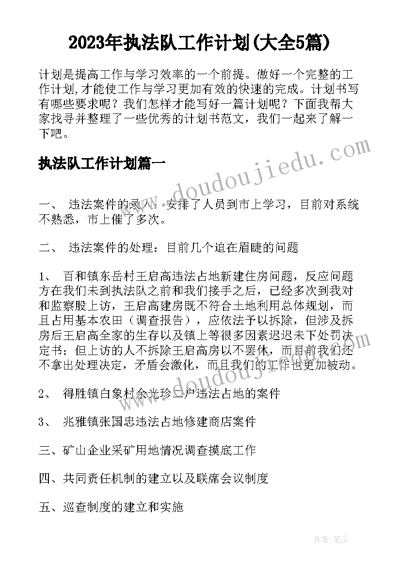 2023年执法队工作计划(大全5篇)