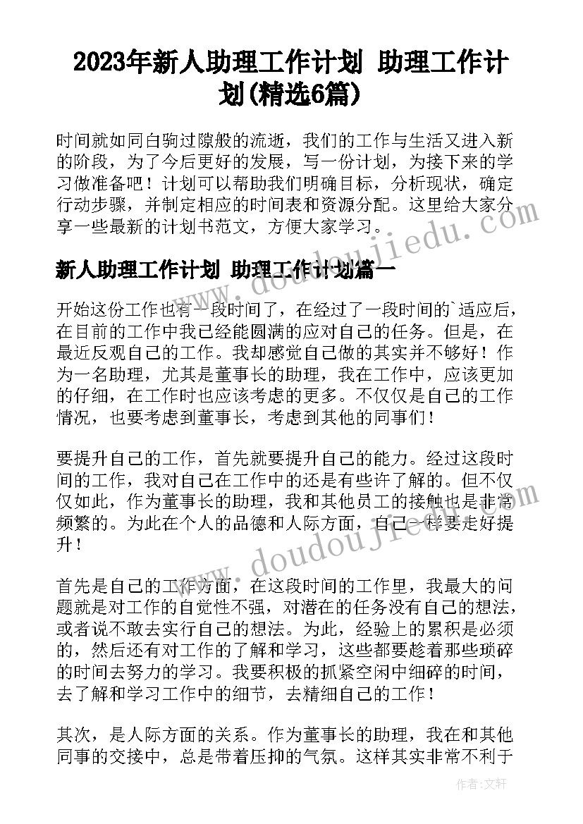 2023年新人助理工作计划 助理工作计划(精选6篇)