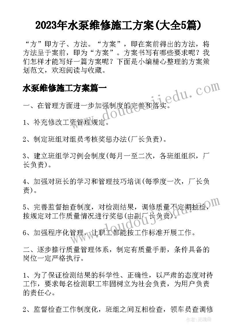 2023年水泵维修施工方案(大全5篇)