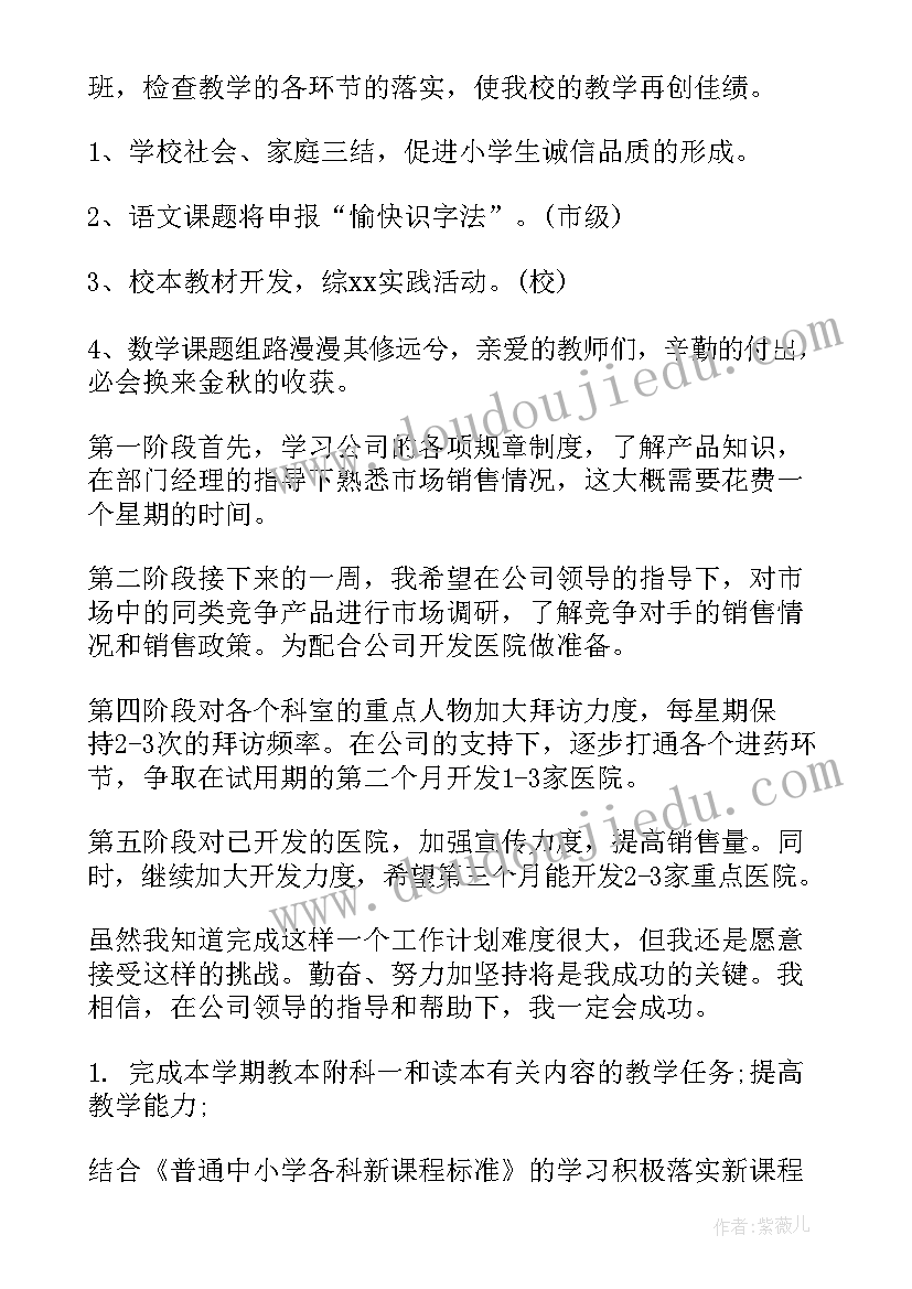 试用期工作总结及计划完成情况 试用期工作计划(优秀7篇)