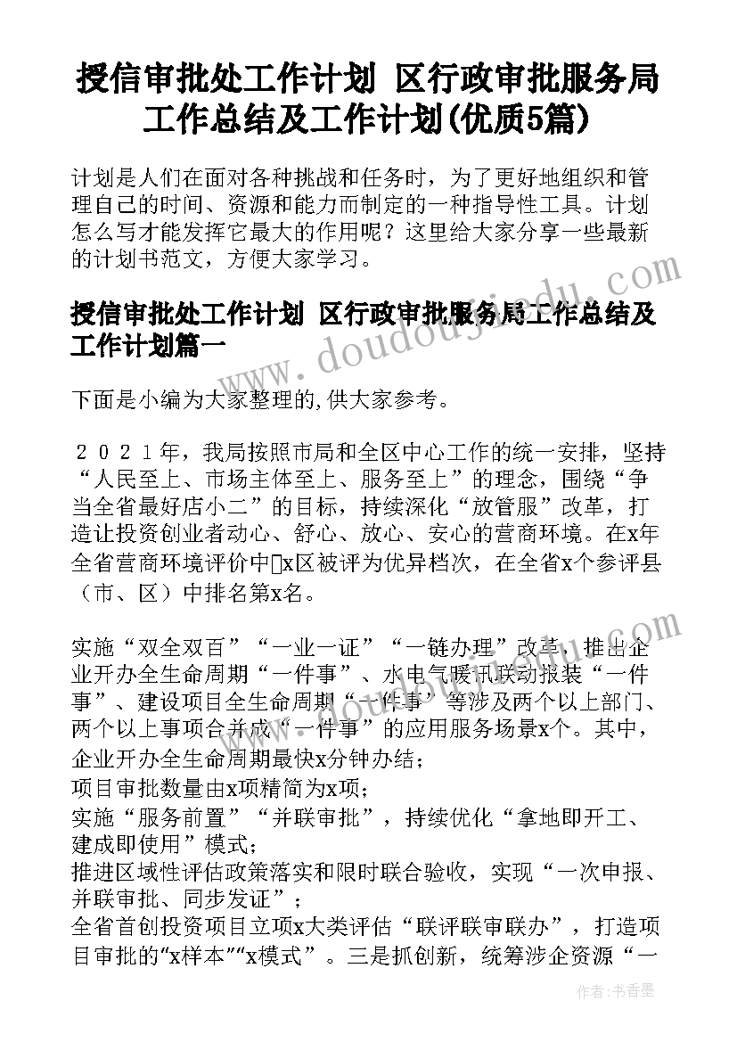 授信审批处工作计划 区行政审批服务局工作总结及工作计划(优质5篇)