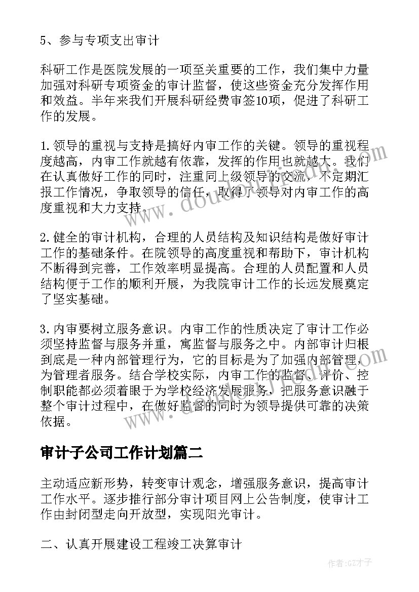 最新审计子公司工作计划(大全5篇)