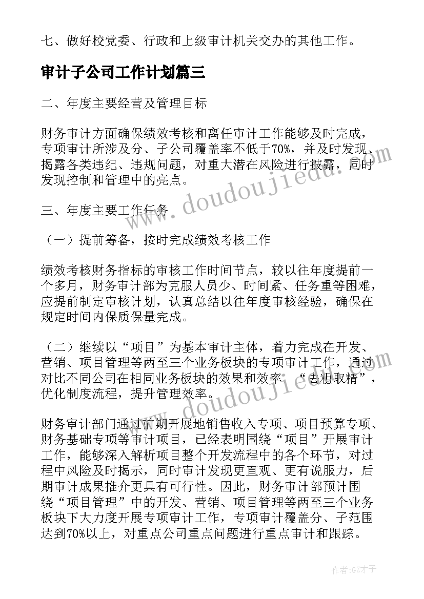 最新审计子公司工作计划(大全5篇)